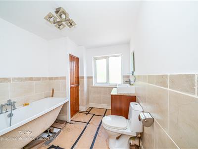 Picture 23